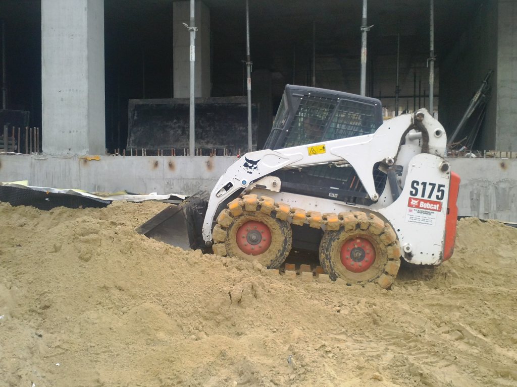 bobcat2